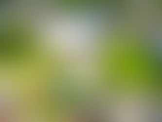 Gramado recebe três competições estaduais e terá fim de semana de intenso movimento esportivo