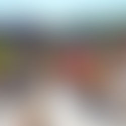 Em domingo ensolarado, Procissão de Ramos emociona grande público no Gramado Aleluia