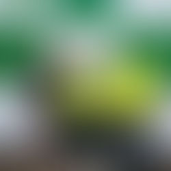 Alunas da Escola Bom Pastor conquistam títulos estaduais nos Jogos Rurais