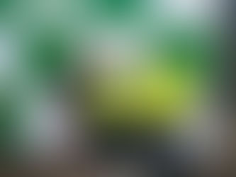 Alunas da Escola Bom Pastor conquistam títulos estaduais nos Jogos Rurais