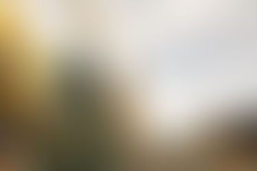 Sonho de Natal será divulgado no Jornal do Almoço em programa especial neste sábado ao vivo de Canela