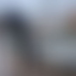 CANELA - Estacionamento Rotativo não será cobrado no Natal e no Ano-Novo