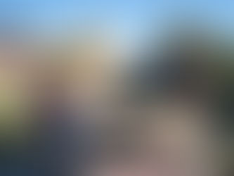 Bota-fora nos bairros São Lucas e Jardim Mariana resulta em uma tonelada de resíduos recolhidos