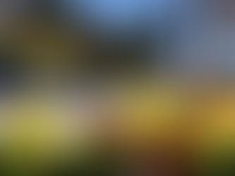 Prefeitura de Canela renova paisagismo e deixa a cidade ainda mais colorida na primavera