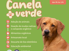 Ações ambientais da Feira Canela + Verde serão destaque neste sábado