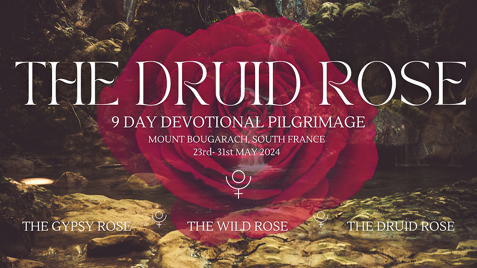 The Druid Rose