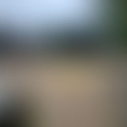 Revitalização da Praça Adolfo Haas entra na reta final em Nova Petrópolis