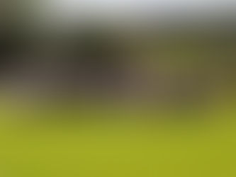 Jogo festivo no 11 Canarinhos relembra bons momentos do futebol gramadense