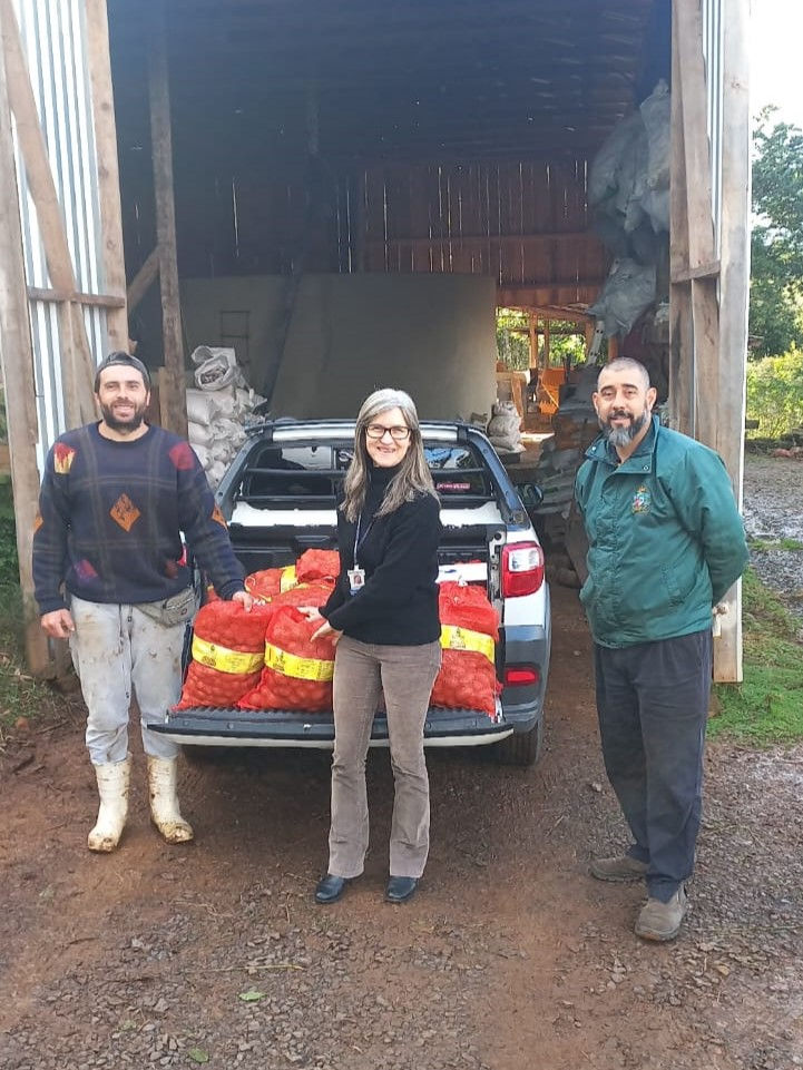 Agricultores recebem 210 kg de batata-semente através de programa da Secretaria da Agricultura e Emater