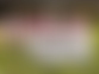 Semifinal do Futebol Sete de Canela acontece nesta quinta-feira