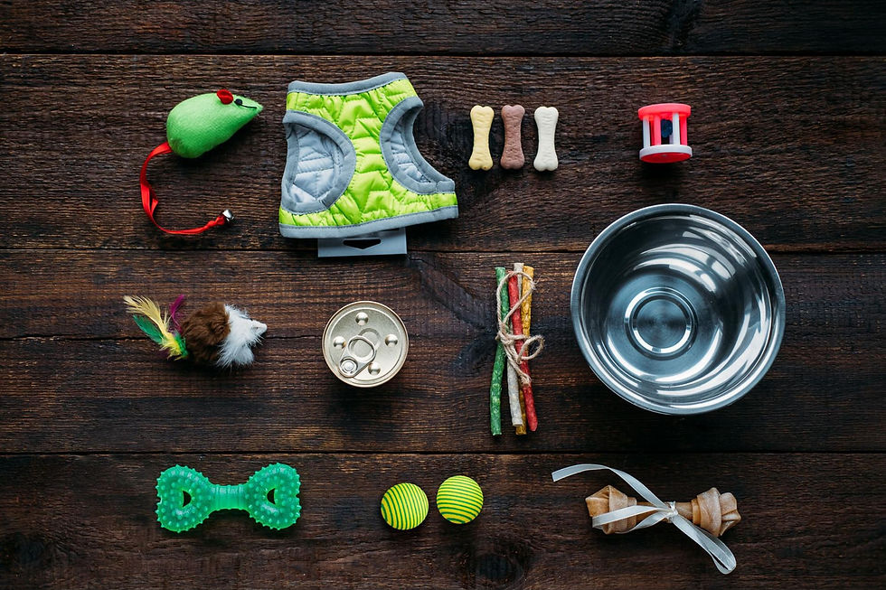Assorted pet accessories, food, and toys for dogs and cats on a wooden background.