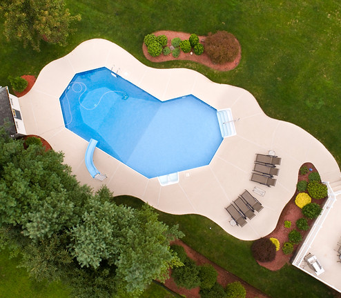 Backyard Pool View