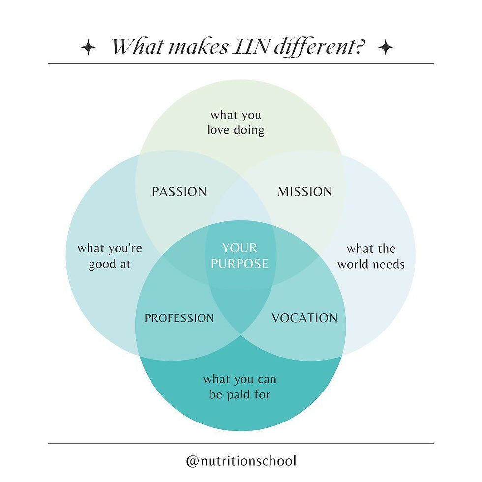 Interconnected diagram showing what makes IIN different