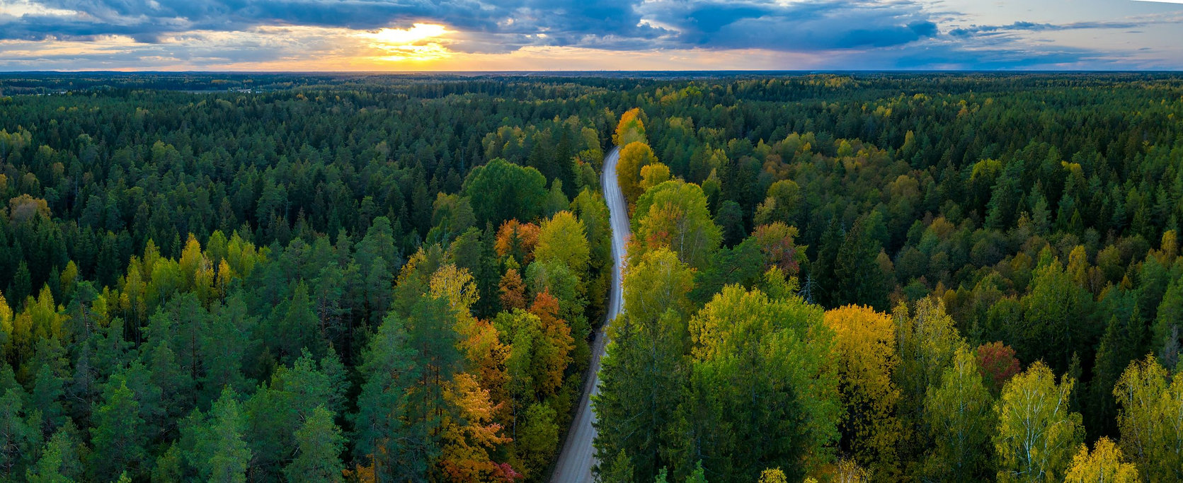 latvia.jpeg