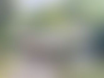 La JSV atterrée devant l’évacuation forcée de la ZAD de la colline