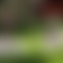 “Expectations Are Planned Disappointments”