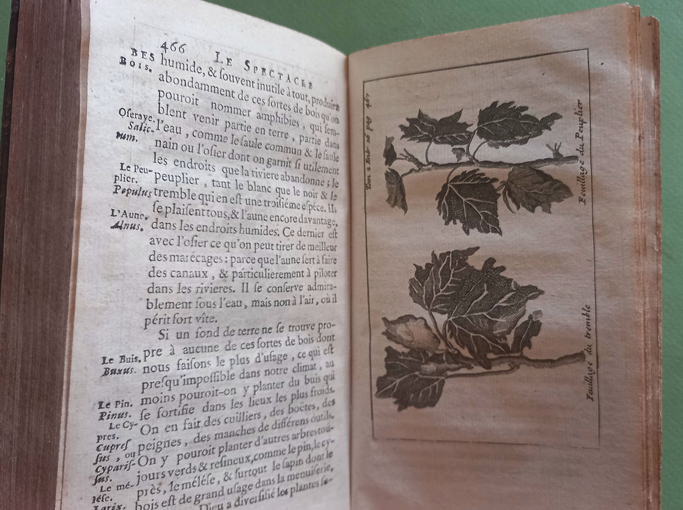 Miniature : Le  spectacle de la nature, T2, 1735