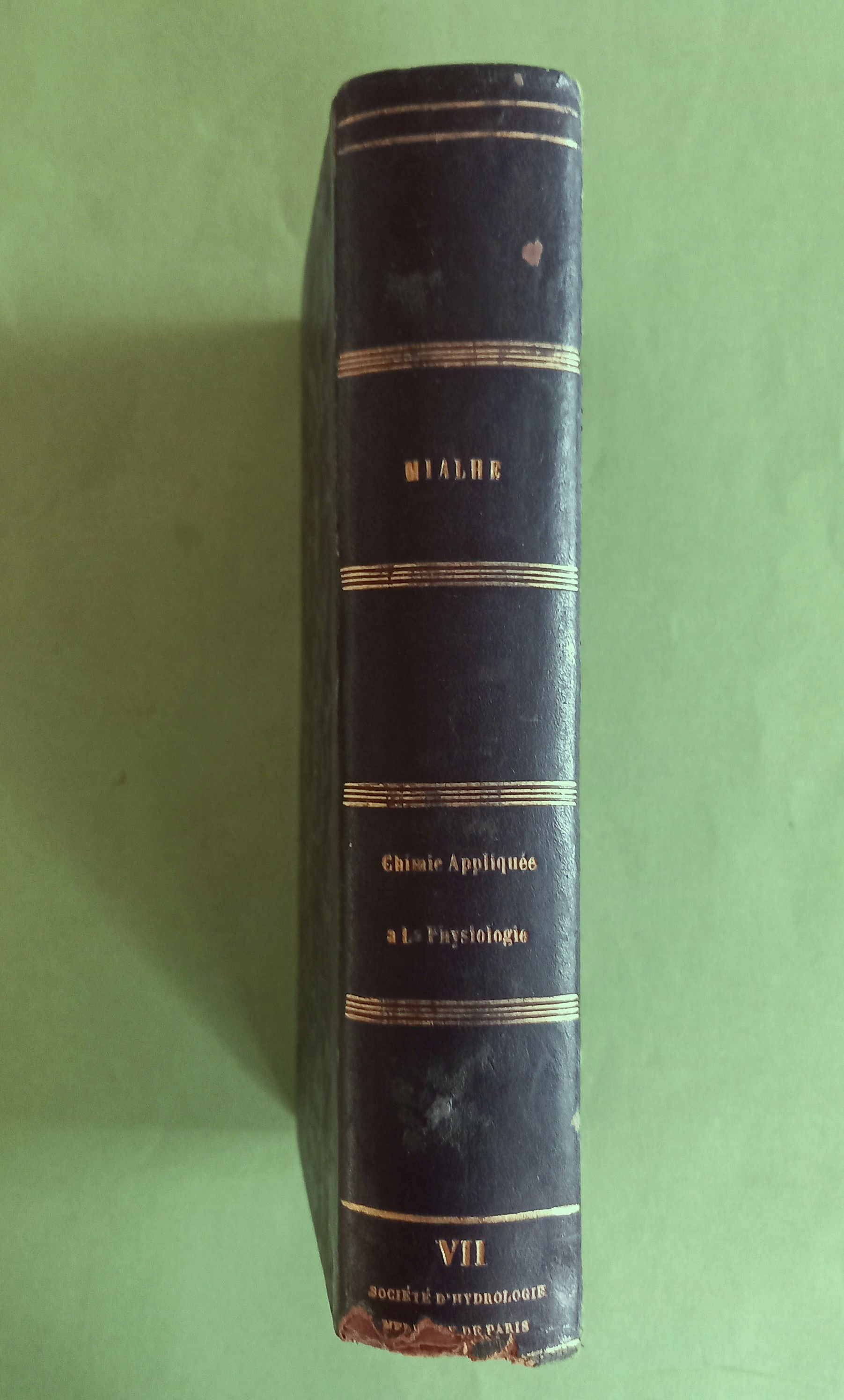 Chimie appliquée à la physiologie et à la thérapeutique, Mialhe, 1856