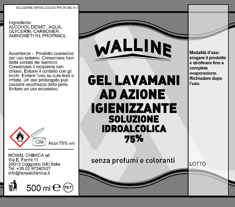 Miniatura: GEL 75% -  Scatola 12 pezzi flacone 500 ml + erogatore