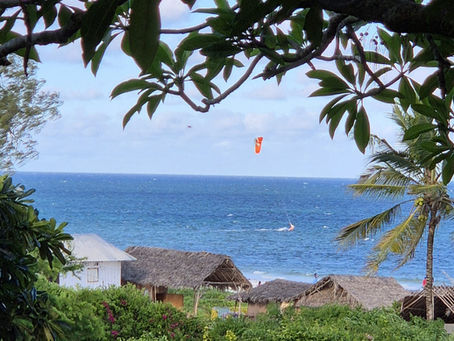 One Month In, And Already a World Away