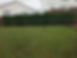 Oct 2019 hedge after.jpg