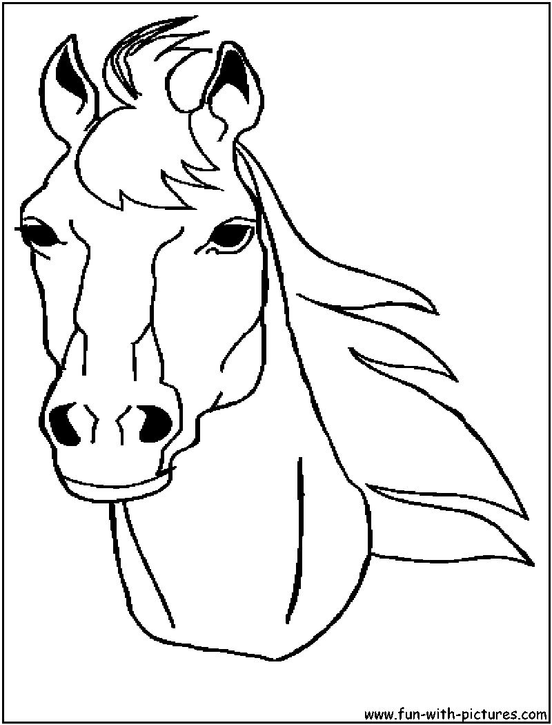 impression 1.png