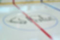 ICEatTheParks.jpeg