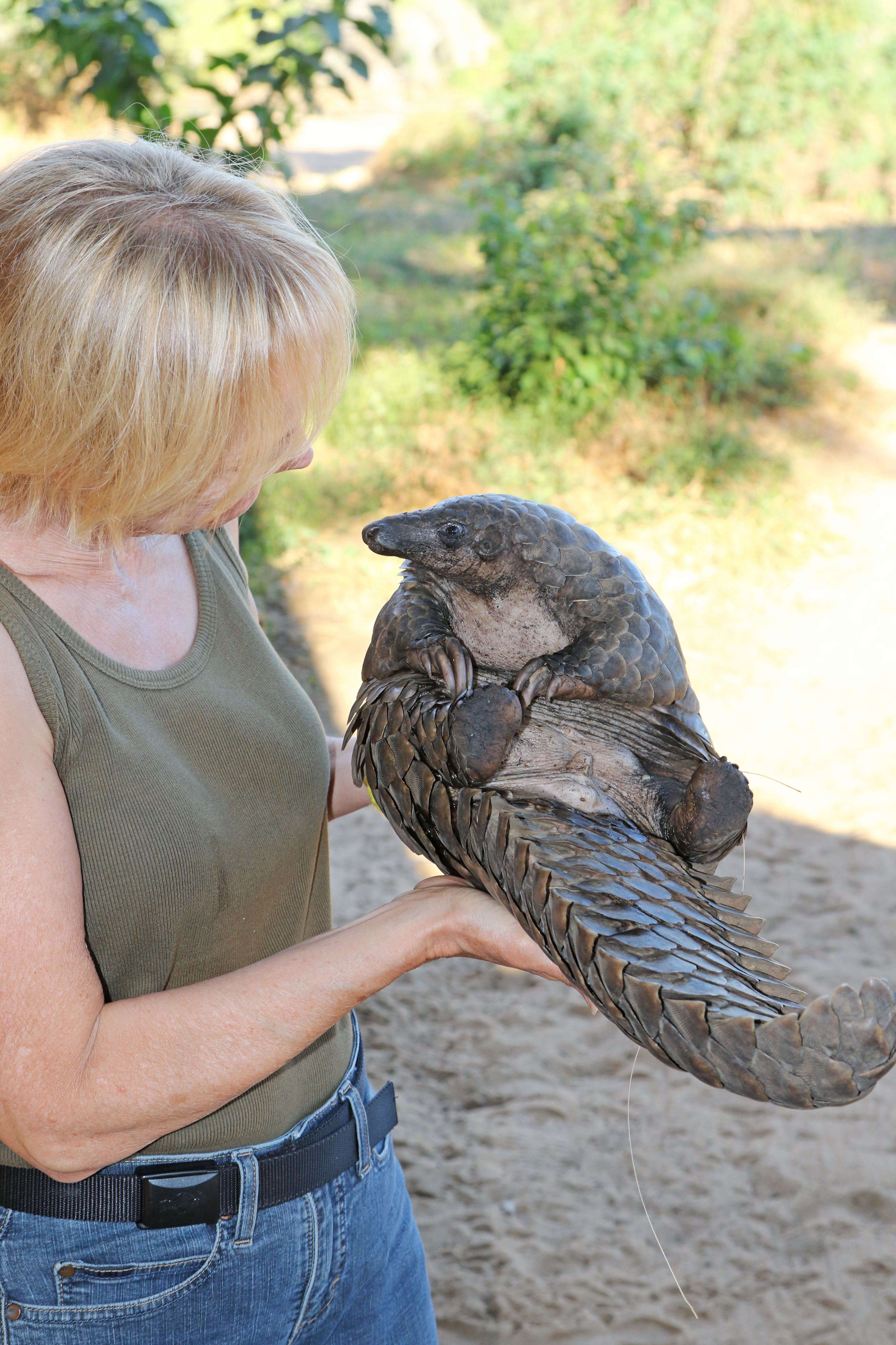 Becci & rescued Pangolin