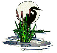 waterbird.gif