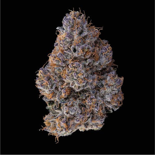 Candy Store
