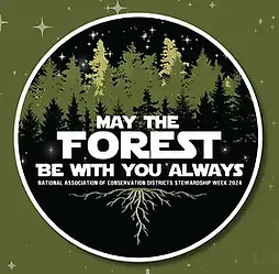 2024 CONSERVATION AWARDS THEME MAY THE FOREST BE WITH YOU (1).webp