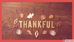 Happy Thanksgiving