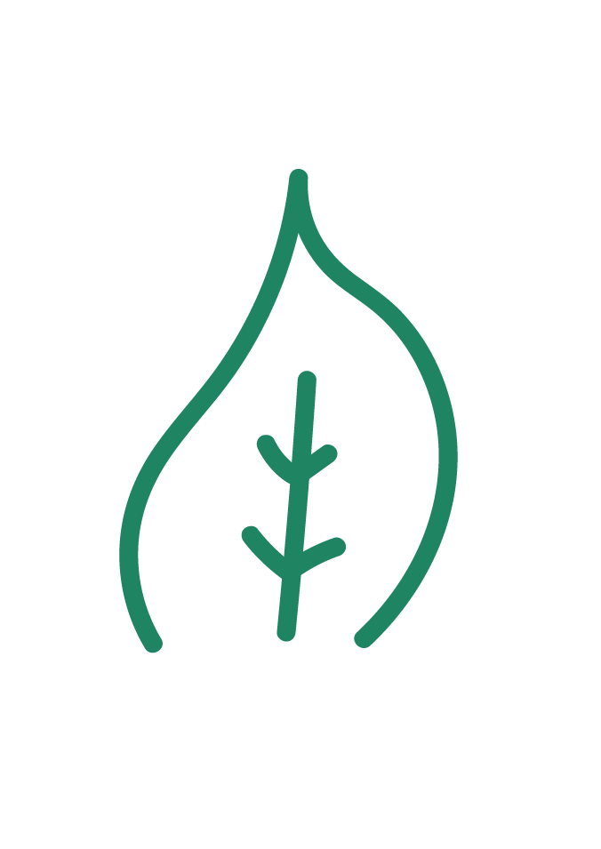 Web Image-05.png