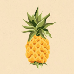 French C1 Listening Practice - Le cycle de vie de l'ananas