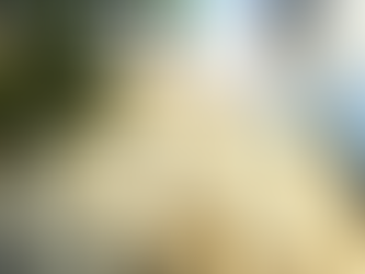 Movimento Brasil Laico aciona Ministério Público contra imposição de ritos religiosos na Câmara do Recife