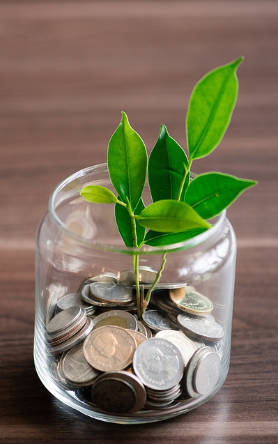 Money Growth - Zoomed In