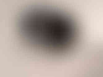 Peltor Comtac III Dual Lead