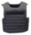 Point Blank SWAT Plate Carrier Body Armor Vest, Black w/ IIIA Soft Armor