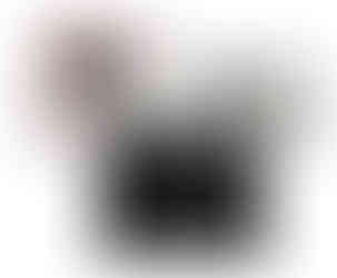 Holosun HE510C