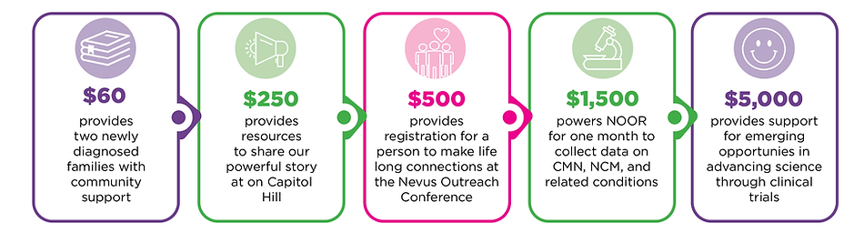 An infographic that explains what different levels of donations can power for Nevus Outreach.