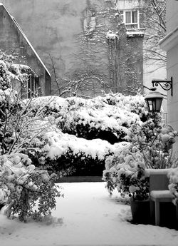 neige-cour