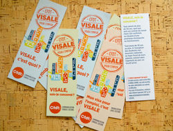 DSC_visale