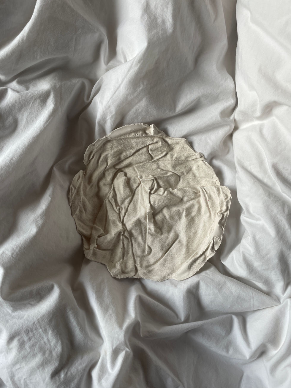 Introduction to sculpture ,using plaster.