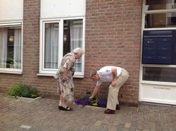 image bejaardentuin plus bejaarden