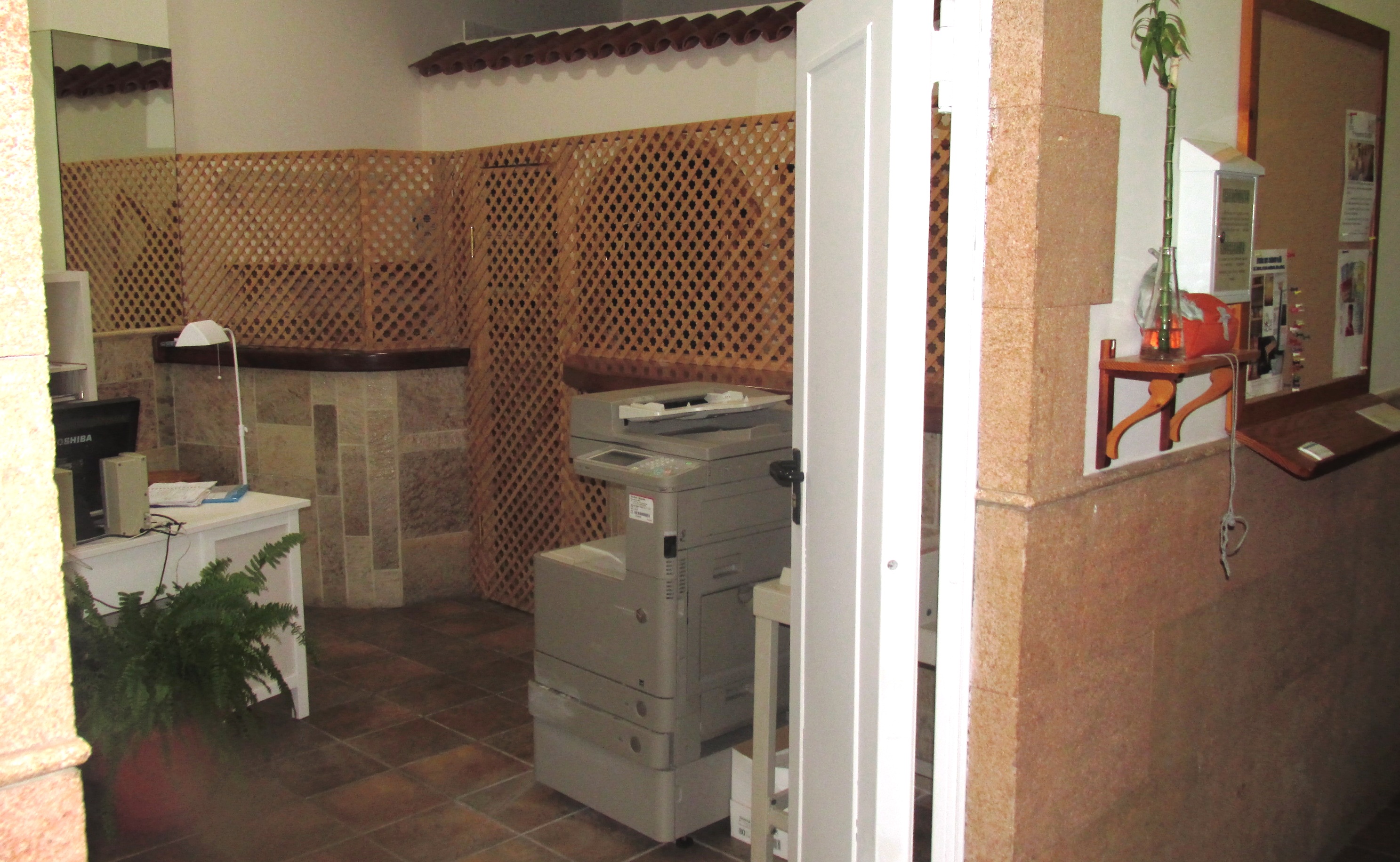 Ofi (1)