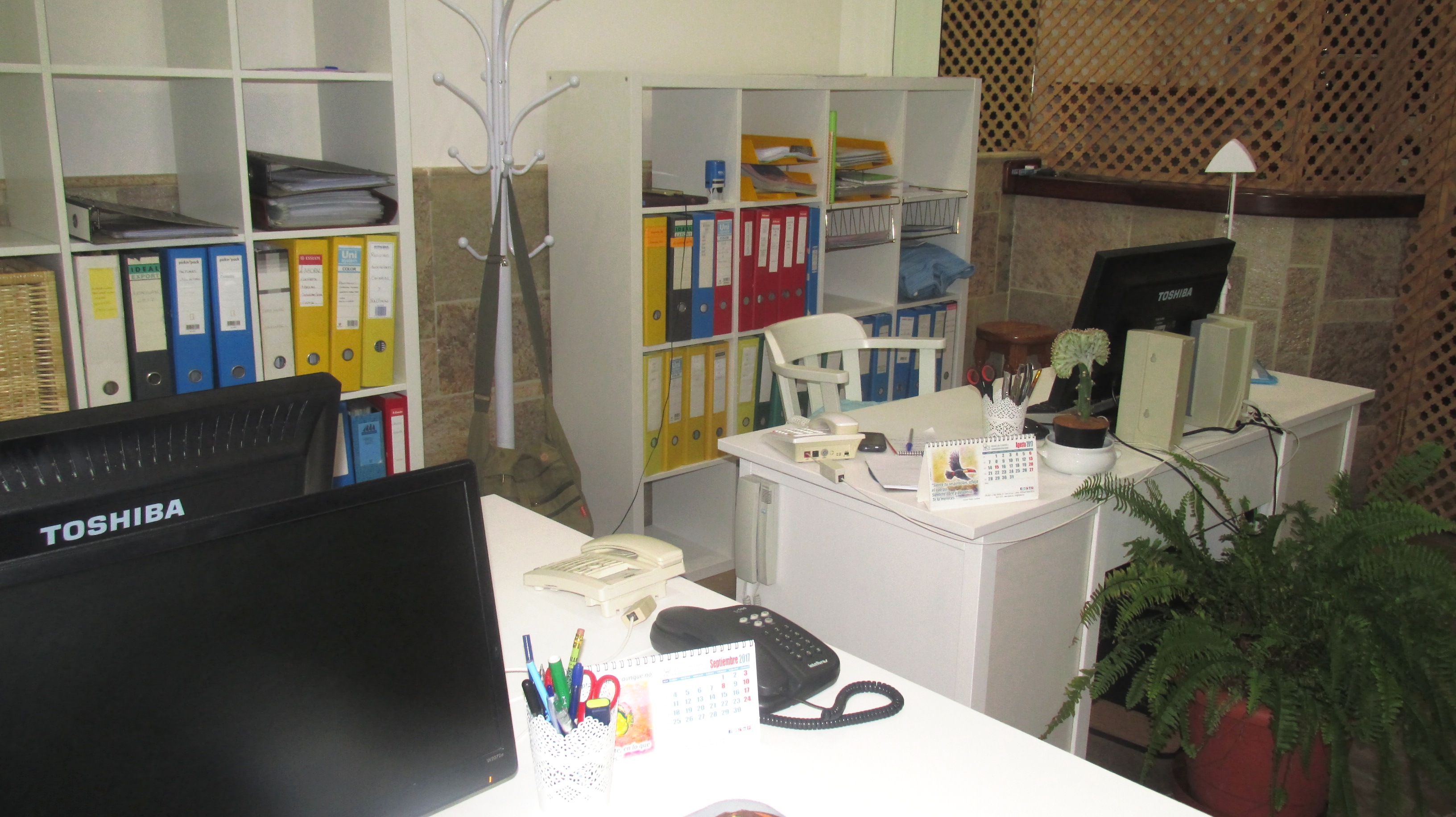 Ofi (4)