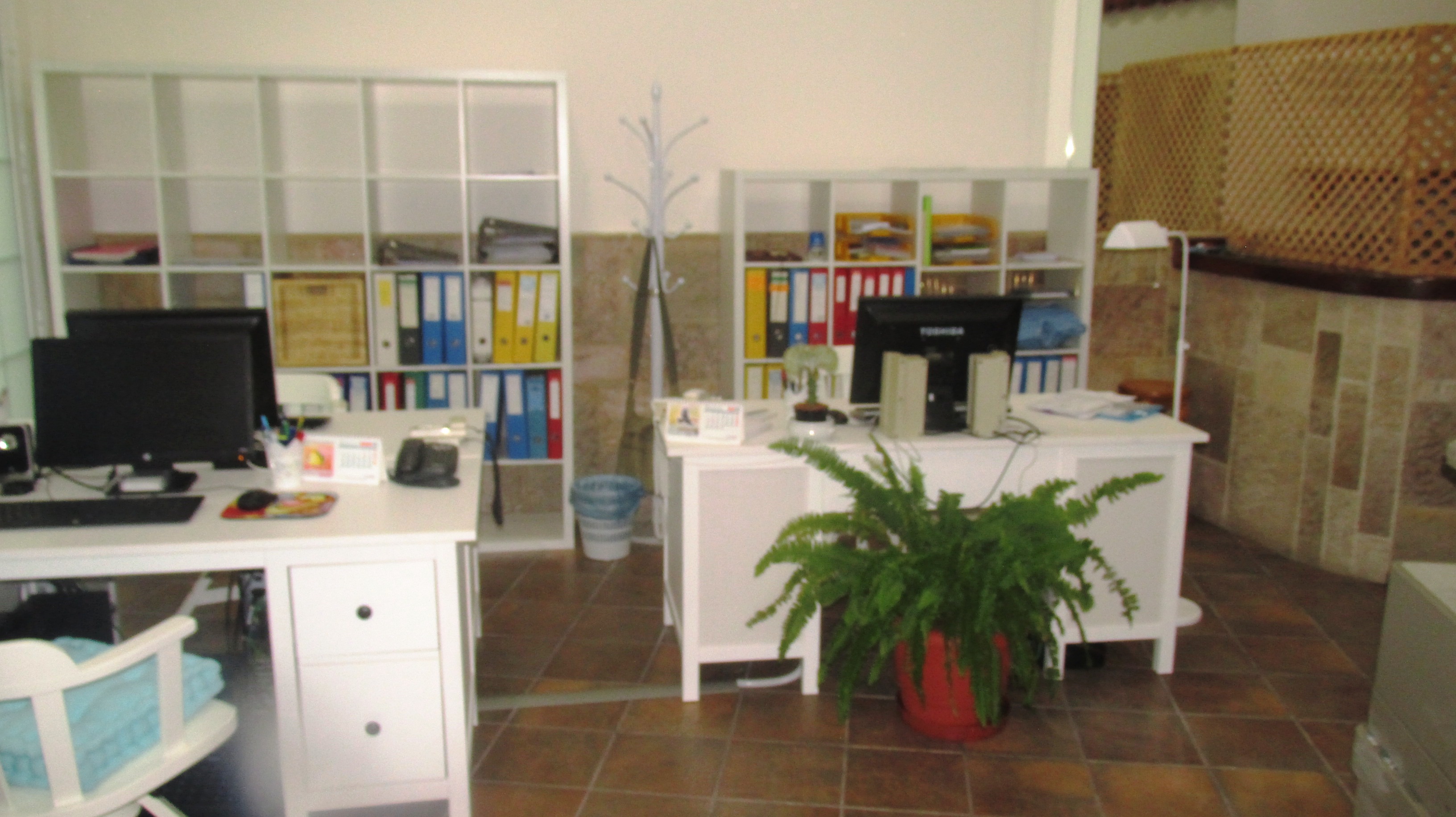 Ofi (2)