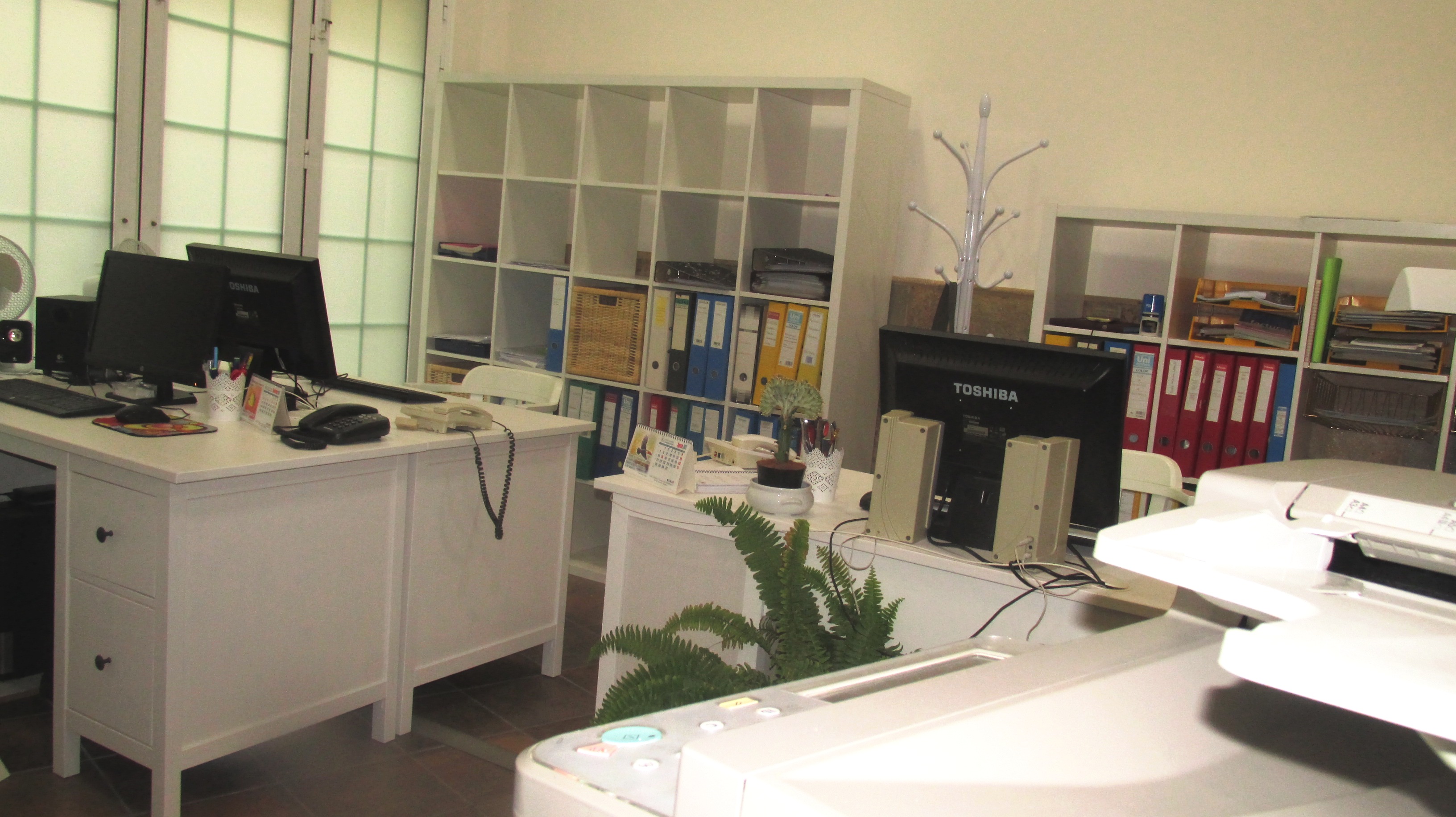 Ofi (3)