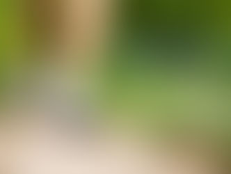 Muy pronto regresamos!!