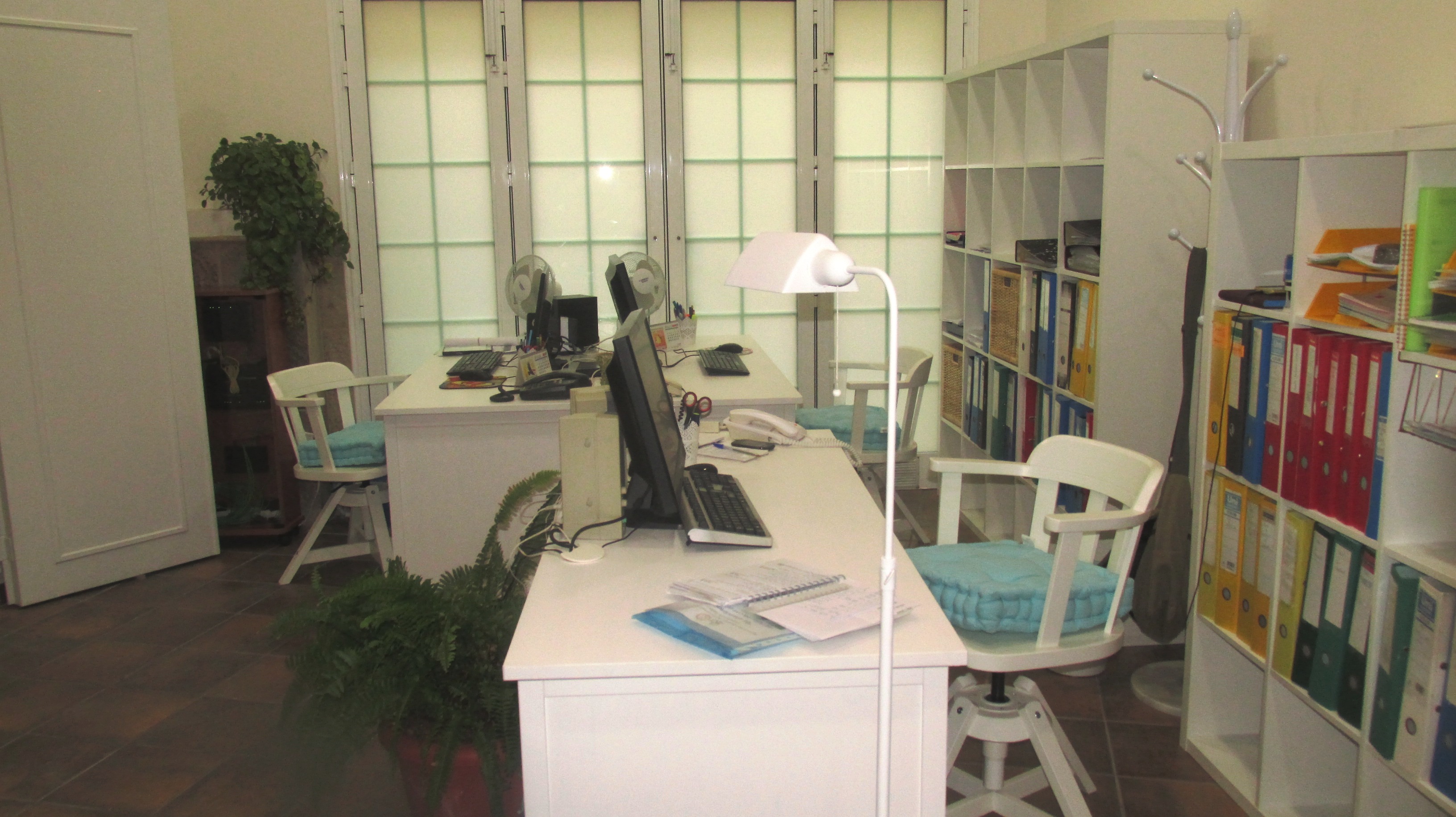 Ofi (5)